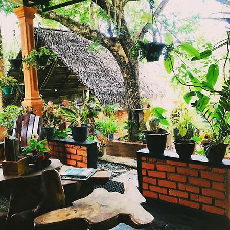 Oleena Home Stay Habarana Exteriér fotografie