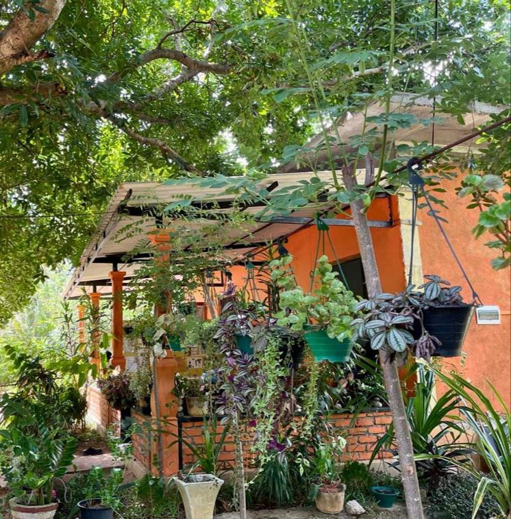 Oleena Home Stay Habarana Exteriér fotografie