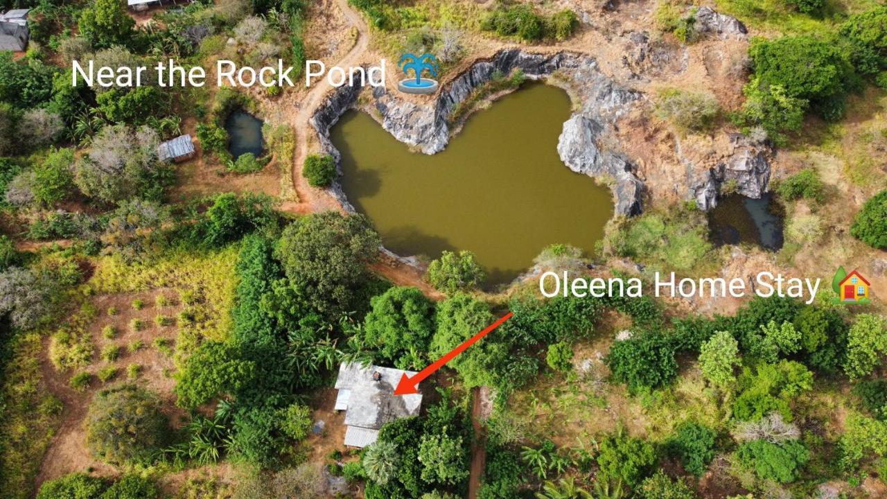 Oleena Home Stay Habarana Exteriér fotografie