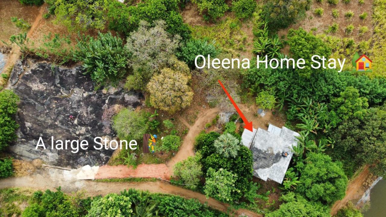 Oleena Home Stay Habarana Exteriér fotografie