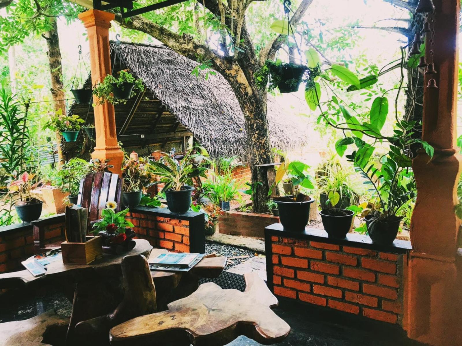 Oleena Home Stay Habarana Exteriér fotografie