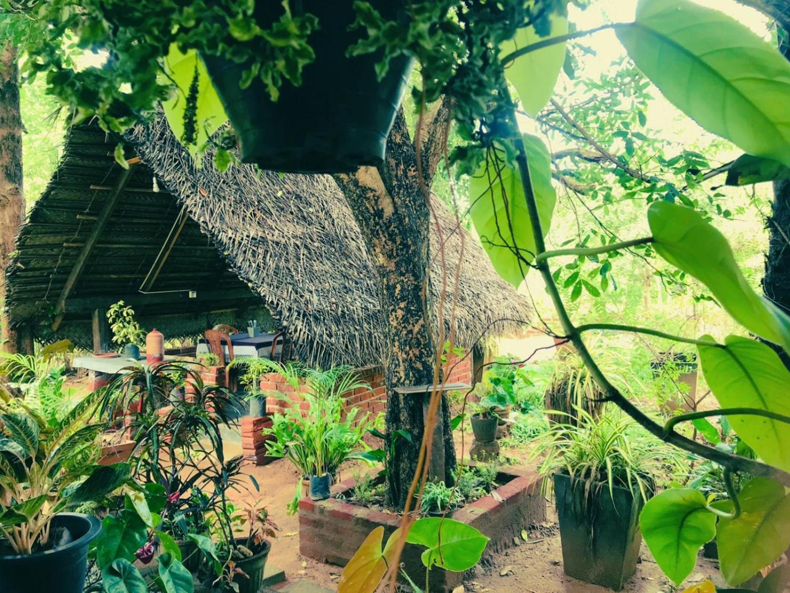 Oleena Home Stay Habarana Exteriér fotografie